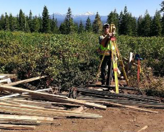 engineer surveying land