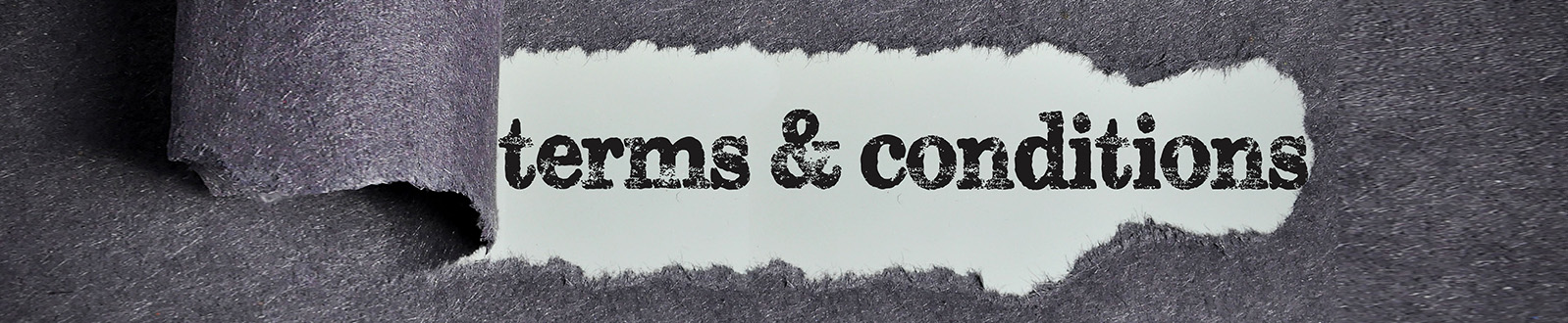 terms-and-conditions terms and conditions